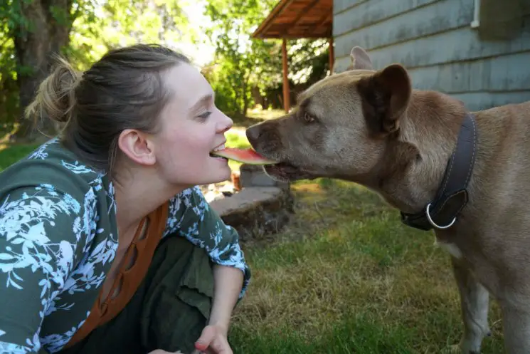 dog_eating_watermelon.jpeg