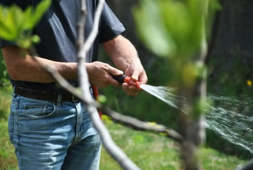 men_holding_garden_hose_in_yard.jpeg