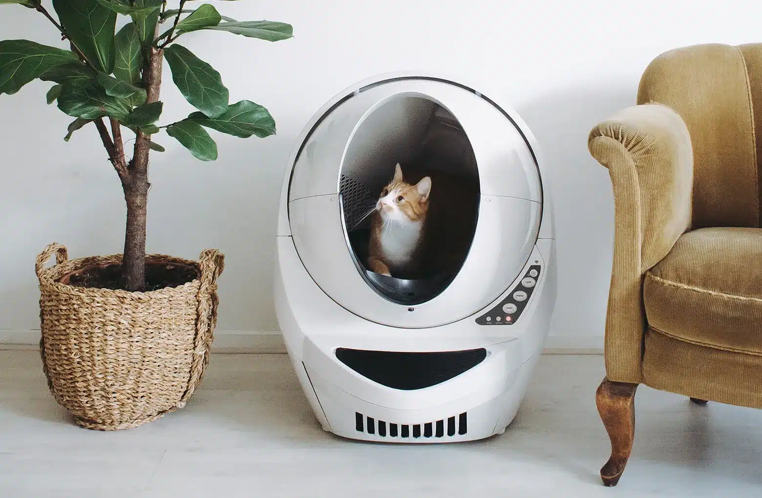 cat_litter_robot.jpeg