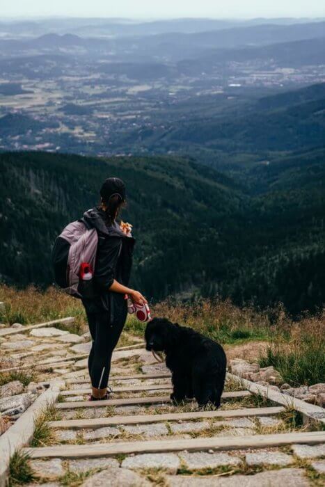girl_walking_with_dog_on_leash_in_wild.jpeg