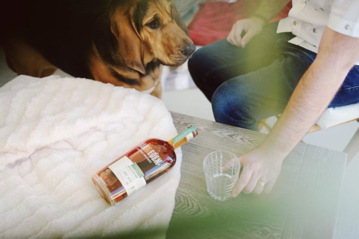 dog_beside_bottle_of_alcohol.jpeg