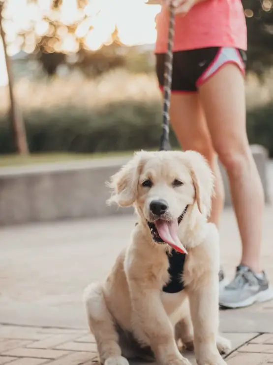 women_running_with_dog.jpeg