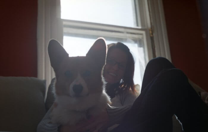 corgi_in_apartment.jpeg