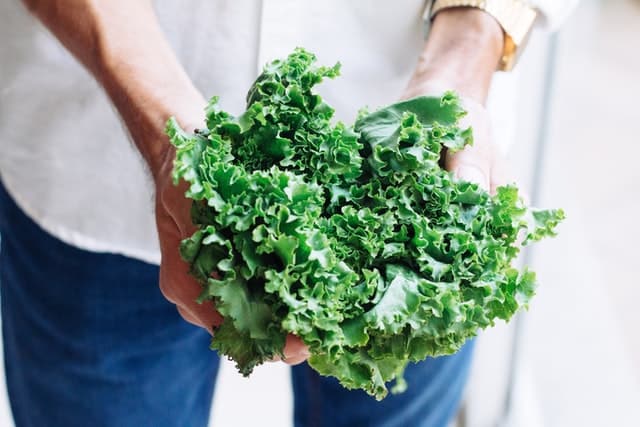 women_holding_lettuce.jpeg