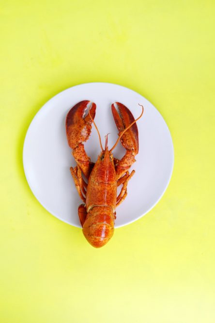 lobster_in_plate.jpeg