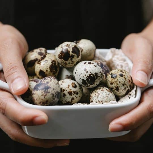 Fresh_Quail_Eggs.jpeg