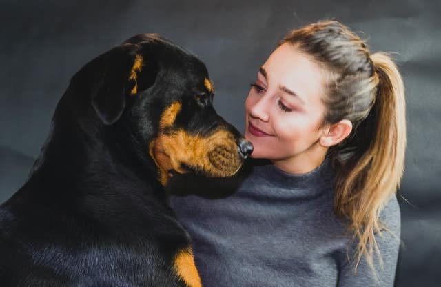 rottweilers_as_therapy_dogs.jpeg