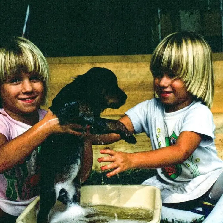 kids_washing_rottweiler_puppy.jpeg