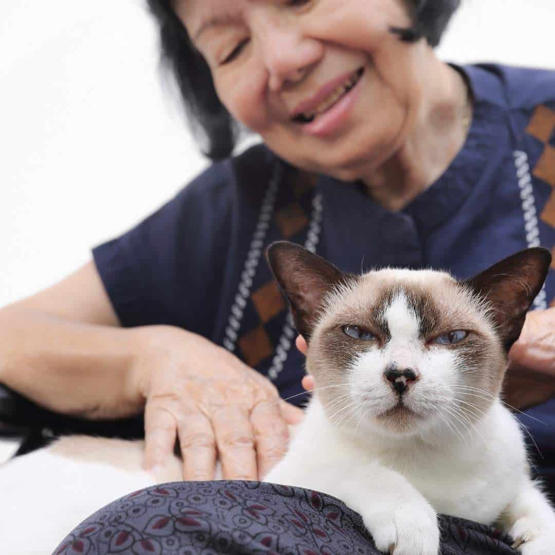 old_women_petting_cat.jpeg