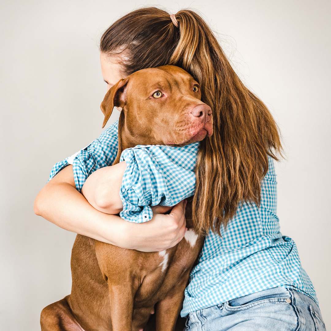 family_pitbull.jpeg